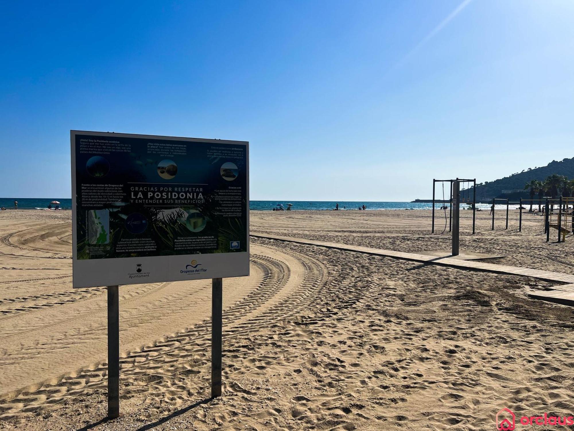 El Paraiso En Playa Concha Oropesa del Mar Exterior photo
